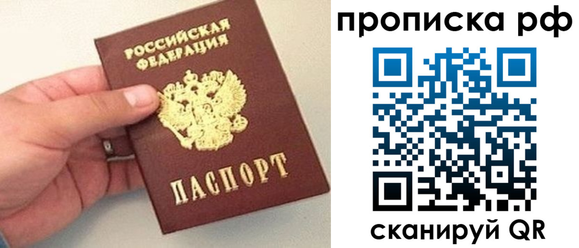 временная регистрация для всех в Палласовке