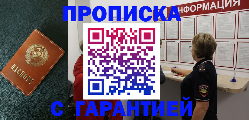 временная регистрация госуслуги в Палласовке